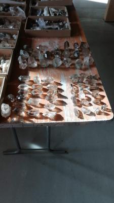 IMG-20240130-WA0005