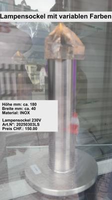 20250303LSI