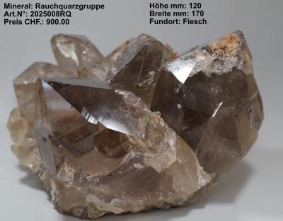 2025008RQ